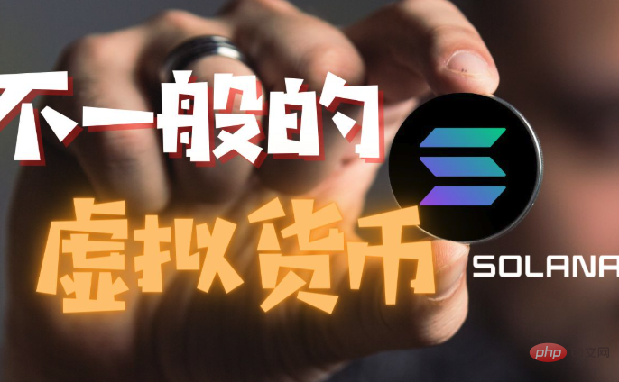 芝麻开门交易所有哪些币种 2025芝麻开门交易所币种盘点 - php中文网